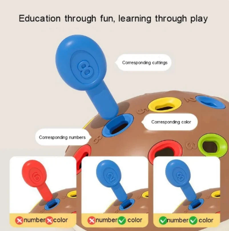 Hedgehog Training Educational Toy