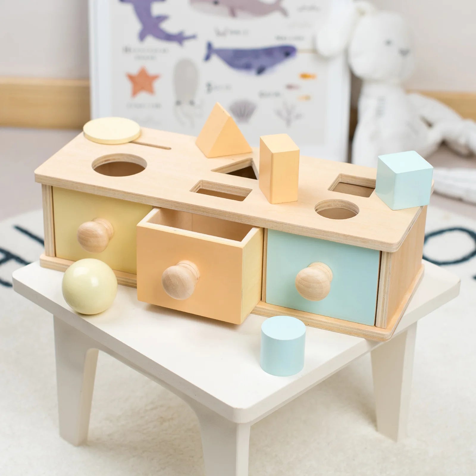 Montessori Colorful Wooden Functional Box