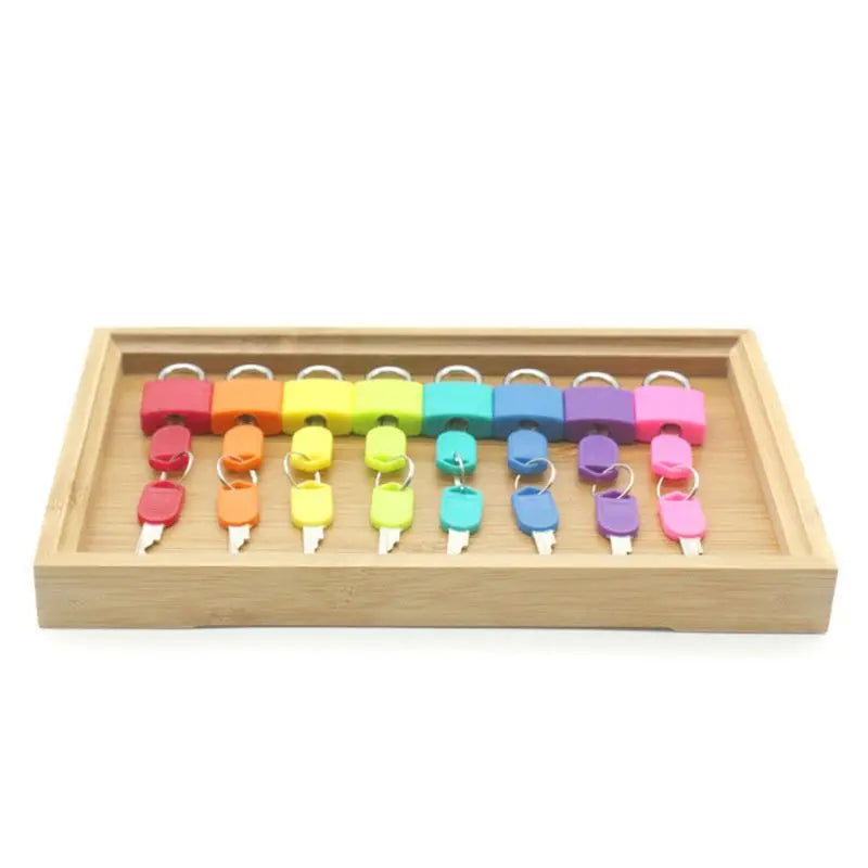 Montessori Colorful Locks Keys