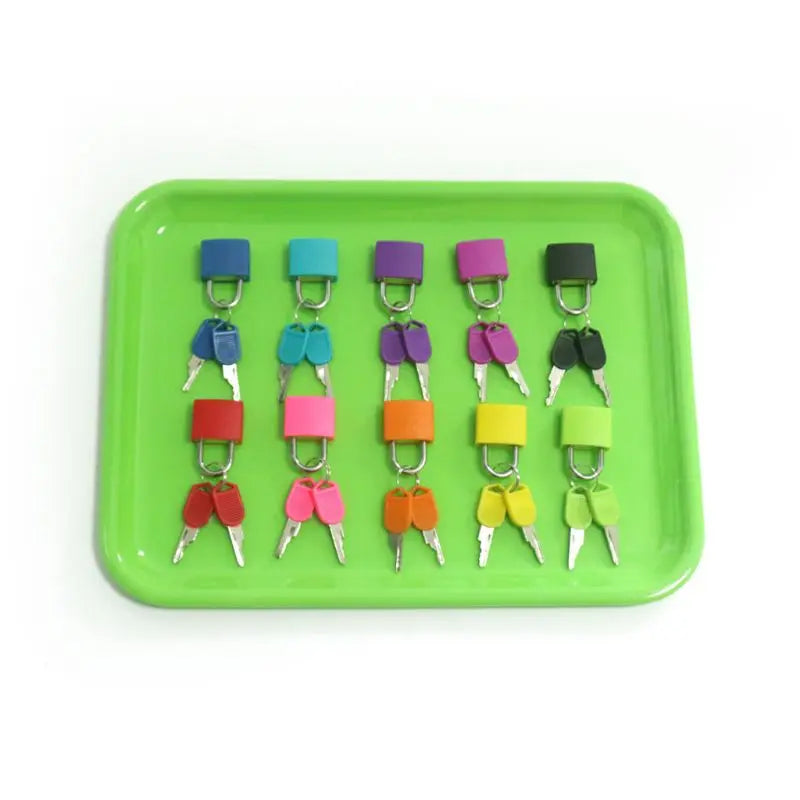 Montessori Colorful Locks Keys