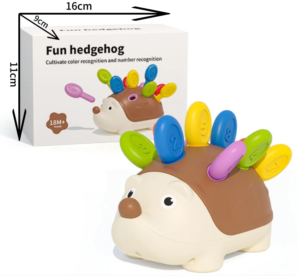 Hedgehog Training Educational Toy