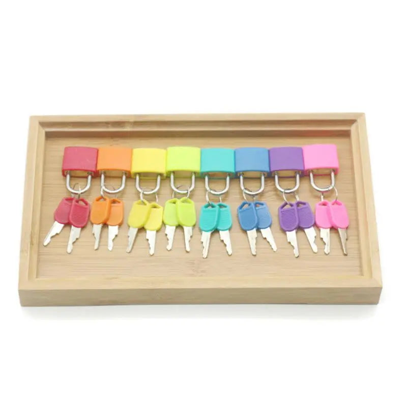 Montessori Colorful Locks Keys