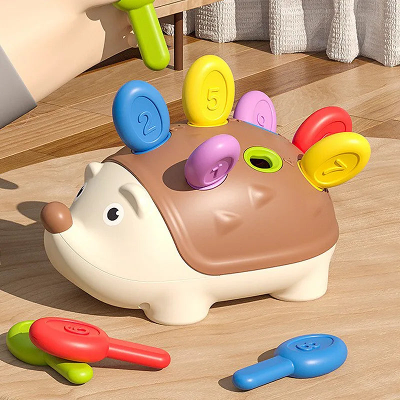 Hedgehog Training Educational Toy